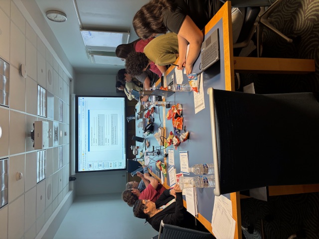 PUENTES cohort 2 workshop